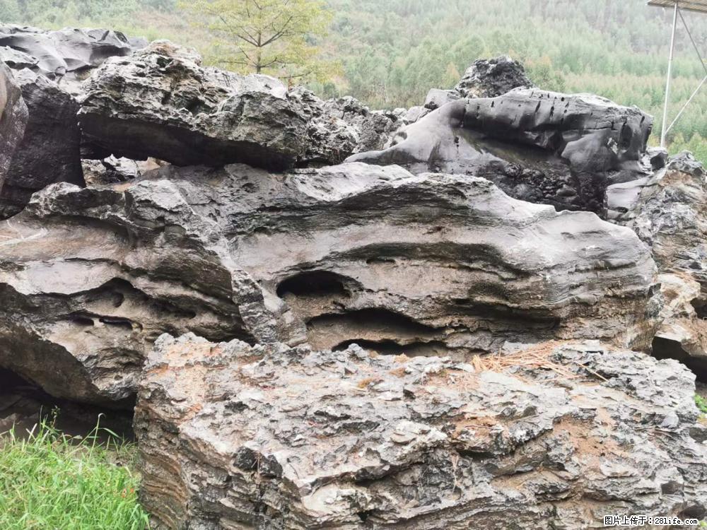 风景石、假山石大量有货，有需要的欢迎联系 - 新手上路 - 德宏生活社区 - 德宏28生活网 dh.28life.net