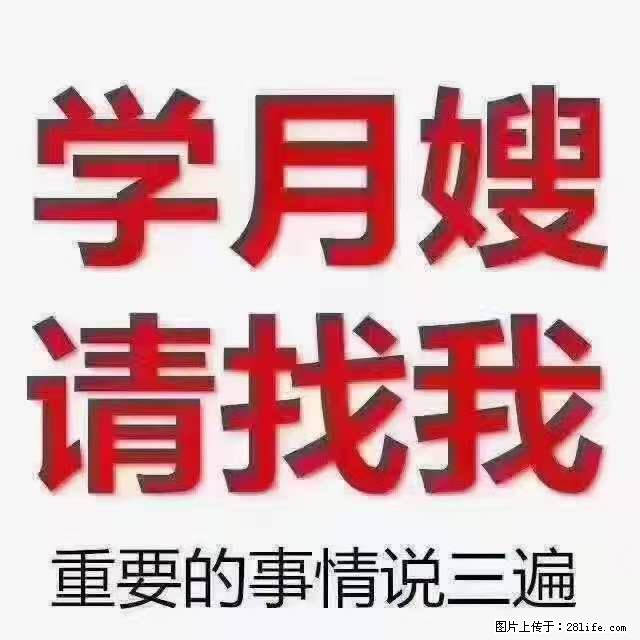 为什么要学习月嫂，育婴师？ - 其他广告 - 广告专区 - 德宏分类信息 - 德宏28生活网 dh.28life.net