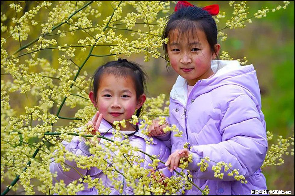 【春天，广西桂林灌阳县向您发出邀请！】米珠山前有片山苍子花在飘香 - 游山玩水 - 德宏生活社区 - 德宏28生活网 dh.28life.net