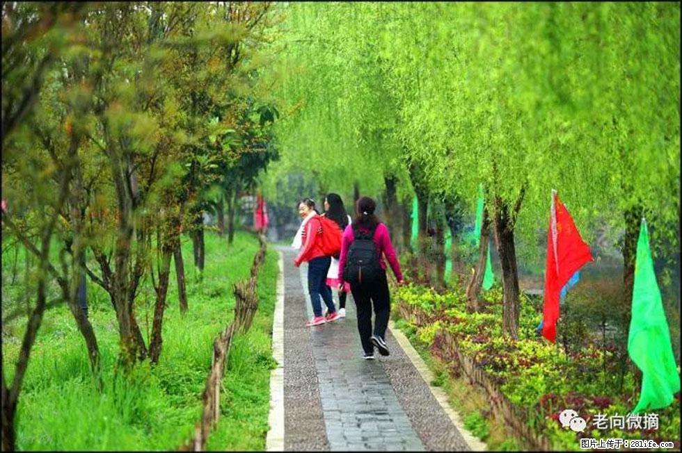 【春天，广西桂林灌阳县向您发出邀请！】江口老街又逢春 - 游山玩水 - 德宏生活社区 - 德宏28生活网 dh.28life.net