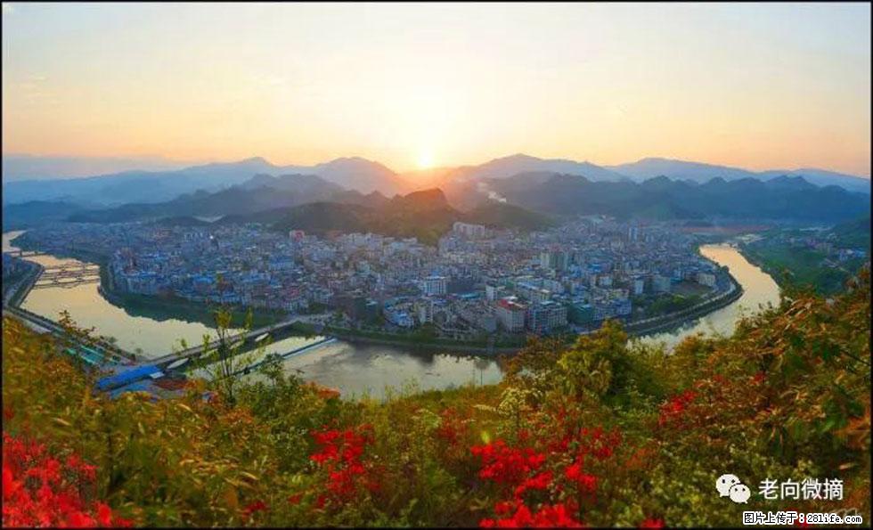 【春天，广西桂林灌阳县向您发出邀请！】登麒麟山，相约映山红 - 游山玩水 - 德宏生活社区 - 德宏28生活网 dh.28life.net