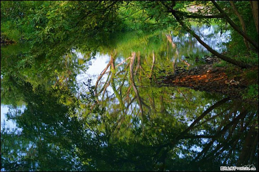 【春天，广西桂林灌阳县向您发出邀请！】熊家寨湿地公园 - 游山玩水 - 德宏生活社区 - 德宏28生活网 dh.28life.net