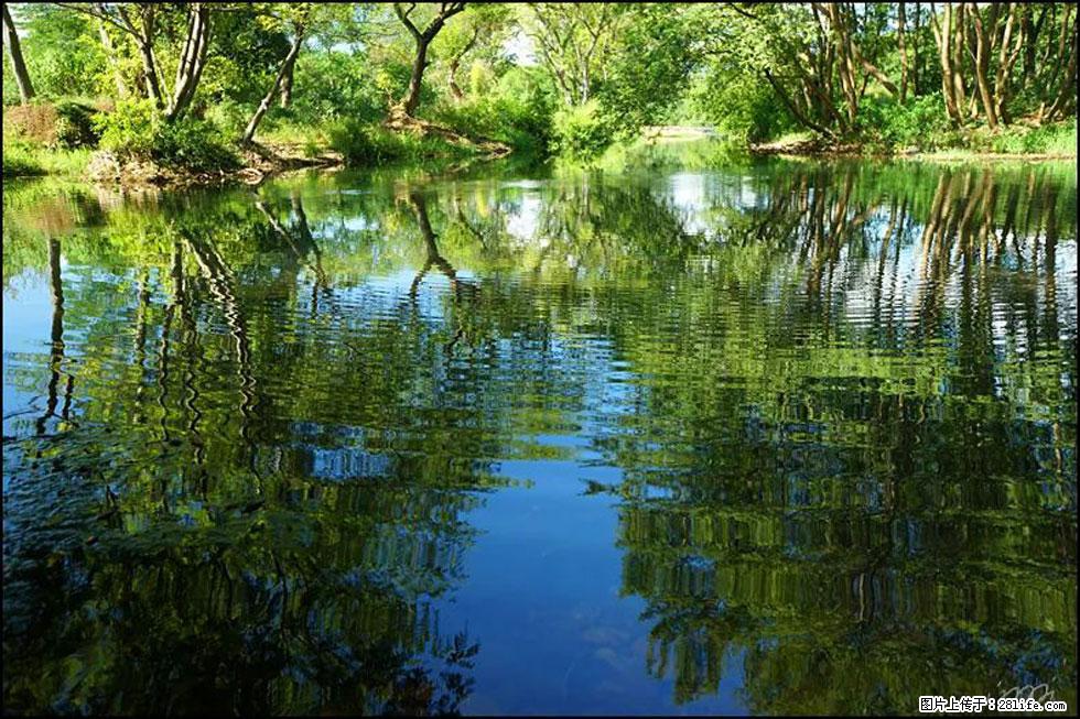 【春天，广西桂林灌阳县向您发出邀请！】熊家寨湿地公园 - 游山玩水 - 德宏生活社区 - 德宏28生活网 dh.28life.net