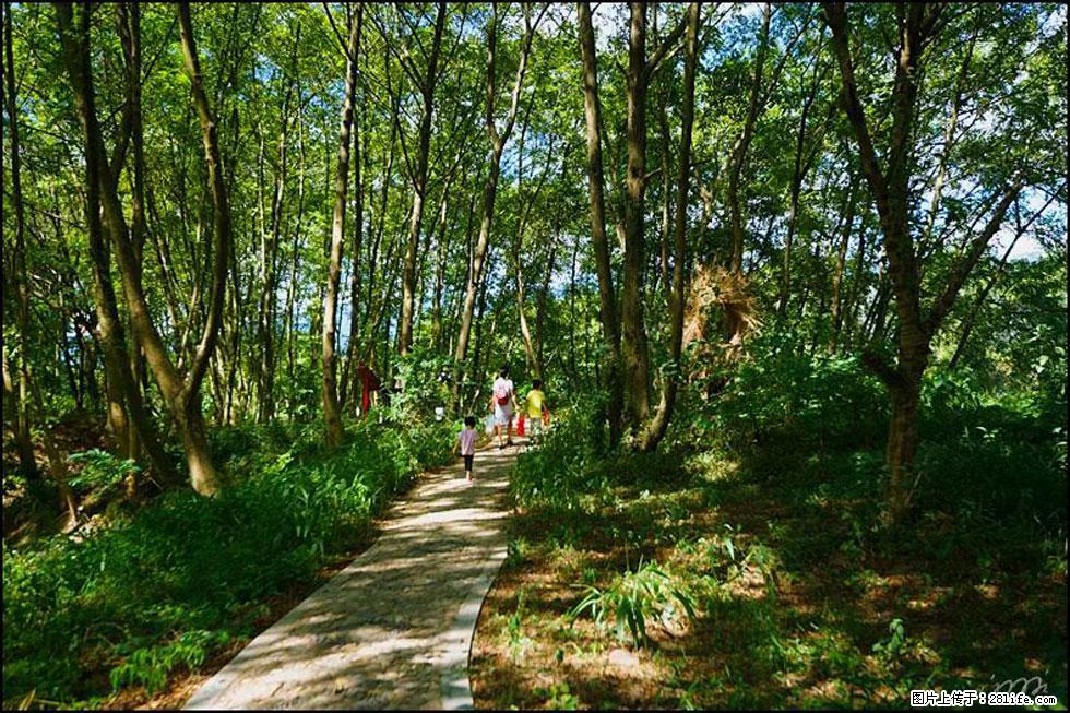 【春天，广西桂林灌阳县向您发出邀请！】熊家寨湿地公园 - 游山玩水 - 德宏生活社区 - 德宏28生活网 dh.28life.net