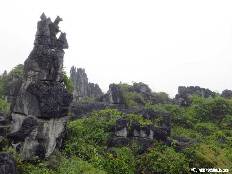 桂林旅游名城景点：灌阳文市石林 - 游山玩水 - 德宏生活社区 - 德宏28生活网 dh.28life.net