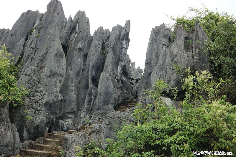 桂林旅游名城景点：灌阳文市石林 - 游山玩水 - 德宏生活社区 - 德宏28生活网 dh.28life.net