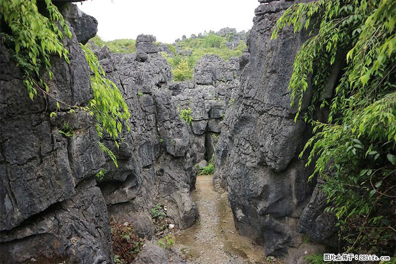 桂林旅游名城景点：灌阳文市石林 - 游山玩水 - 德宏生活社区 - 德宏28生活网 dh.28life.net
