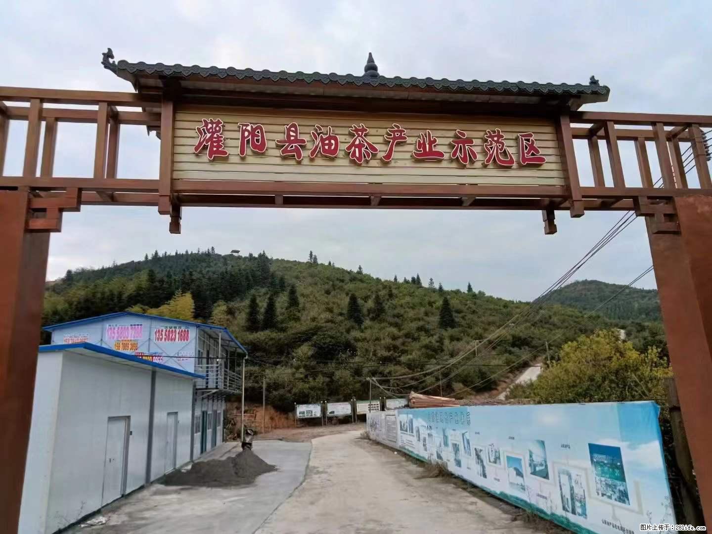 【灌阳县油茶产业示范区】一个有着充实的精神生活的人，对待身外之物自会有一种淡泊的态度 - 土特产 - 饮食特产 - 德宏分类信息 - 德宏28生活网 dh.28life.net