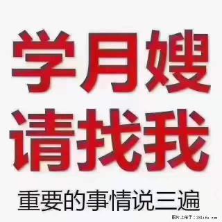 为什么要学习月嫂，育婴师？ - 德宏28生活网 dh.28life.net