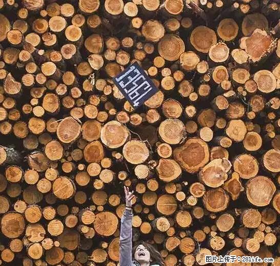 辞掉工作周游世界？现在他们在洗厕所…… - 游山玩水 - 德宏生活社区 - 德宏28生活网 dh.28life.net