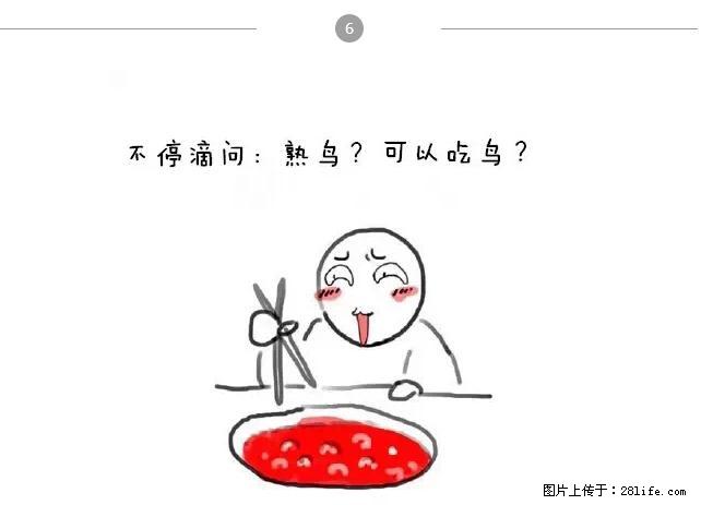 千万不要和这9种哈卵一起吃火锅！ - 美食天地 - 德宏生活社区 - 德宏28生活网 dh.28life.net