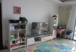 瑾瑞置业、珠宝街电梯房 3室2厅 家具家电齐全 精装 - 德宏28生活网 dh.28life.net