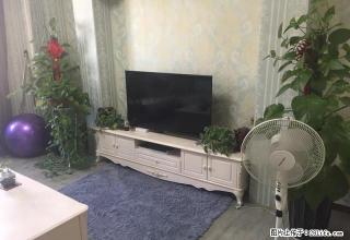 《瑾瑞置业》珠宝街 电梯公寓 1室1厅家具家电齐全 - 德宏28生活网 dh.28life.net