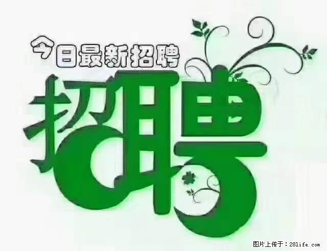 【招聘摄像师】待遇：试用期6000元/月，转正7000元/月+五险一金+餐补+节日福利+奖金 - 其他招聘信息 - 招聘求职 - 德宏分类信息 - 德宏28生活网 dh.28life.net