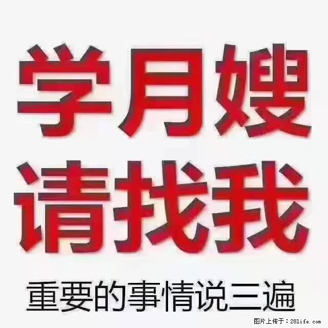 【招聘】月嫂，上海徐汇区 - 职场交流 - 德宏生活社区 - 德宏28生活网 dh.28life.net