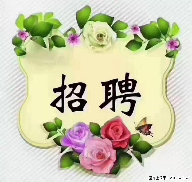 【招聘】住家育儿嫂，上户日期：4月4日，工作地址：上海 黄浦区 - 职场交流 - 德宏生活社区 - 德宏28生活网 dh.28life.net