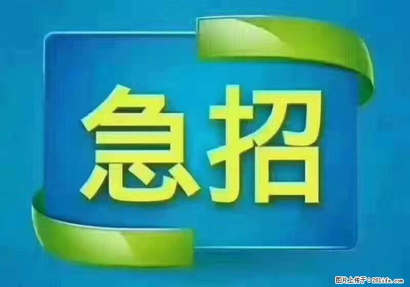招出纳8000元/月，无证可以，要有相关经验，上海五险一金，包住，包工作餐，做六休一。 - 职场交流 - 德宏生活社区 - 德宏28生活网 dh.28life.net