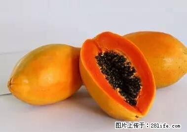晕车、脚气、牙齿变黄、皮肤粗糙？学会这些三分钟搞定！ - 德宏生活资讯 - 德宏28生活网 dh.28life.net