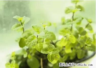 晕车、脚气、牙齿变黄、皮肤粗糙？学会这些三分钟搞定！ - 德宏生活资讯 - 德宏28生活网 dh.28life.net