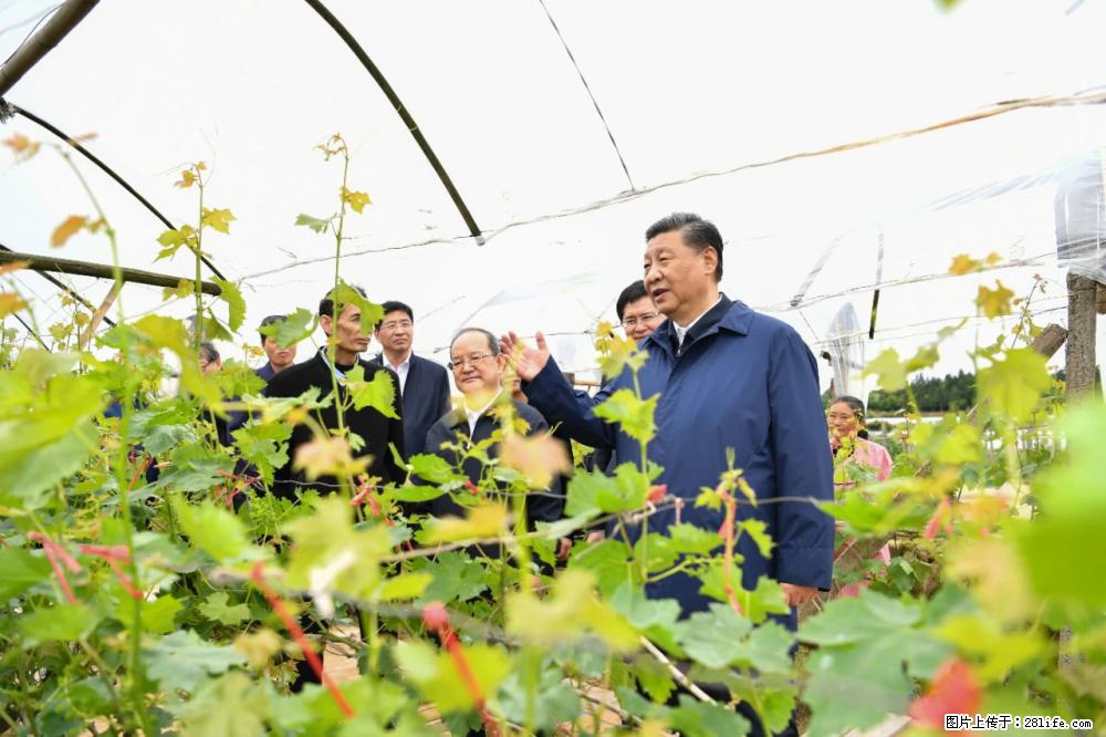 习近平赴广西考察调研 - 德宏生活资讯 - 德宏28生活网 dh.28life.net