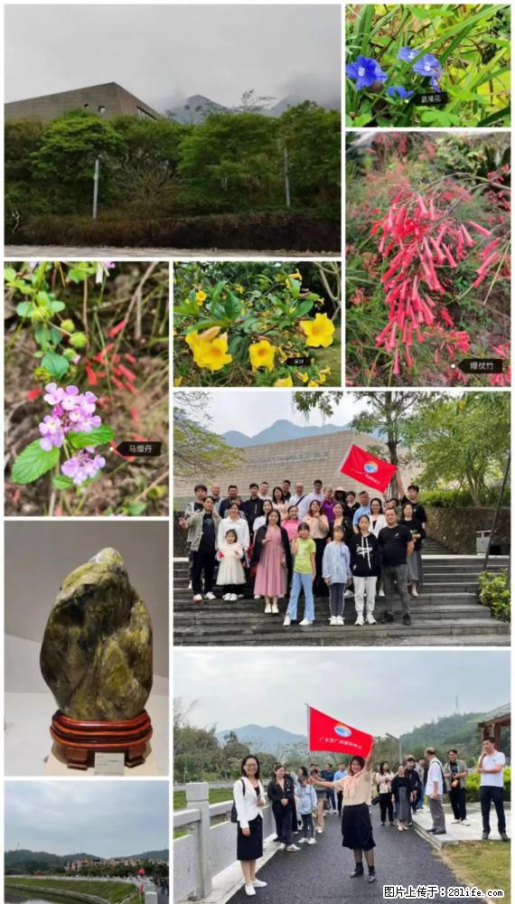 “粤灌文化 美好生活”油茶文化主题活动在广东深圳成功举办 - 德宏生活资讯 - 德宏28生活网 dh.28life.net