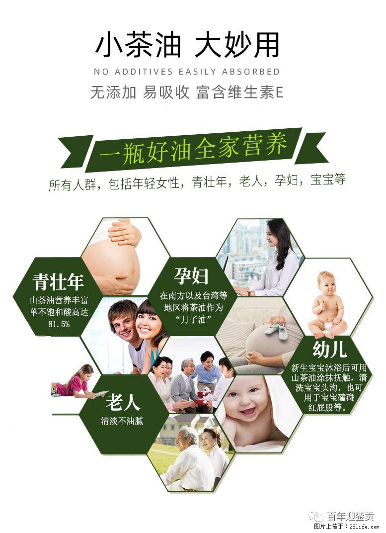 世界没有真相，只有认知，最好的食用油是中国的山茶油！ - 德宏生活资讯 - 德宏28生活网 dh.28life.net