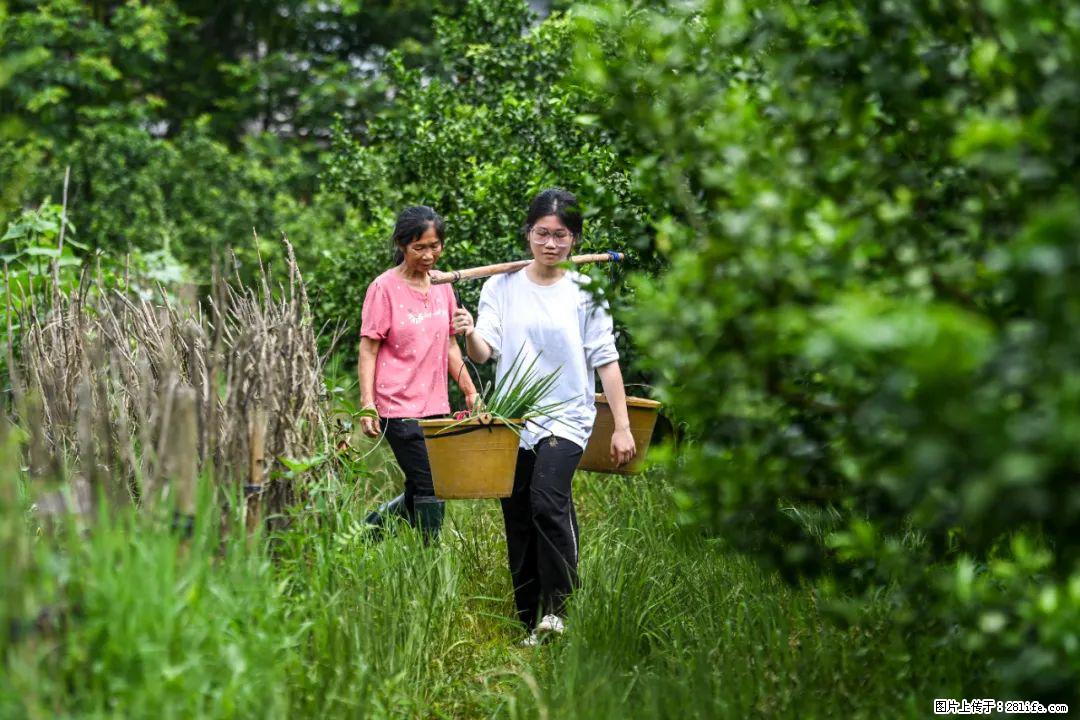全网追的“扁担女孩”，找了一份暑假工，时薪12元 - 德宏生活资讯 - 德宏28生活网 dh.28life.net