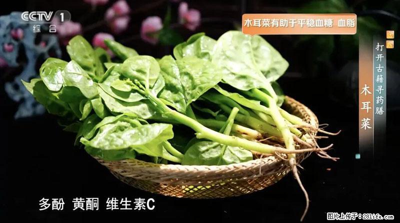 比牛奶补钙还厉害！凉血解毒、稳血糖...这菜冬天必吃，很多人却当草 - 德宏生活资讯 - 德宏28生活网 dh.28life.net
