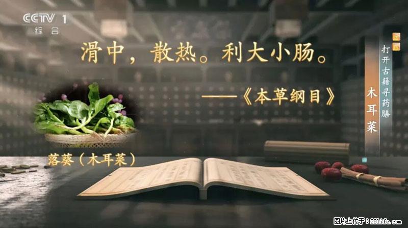比牛奶补钙还厉害！凉血解毒、稳血糖...这菜冬天必吃，很多人却当草 - 德宏生活资讯 - 德宏28生活网 dh.28life.net