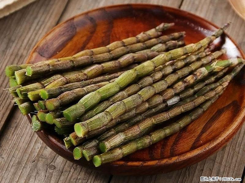 铁皮石斛的作用与功能主治 - 德宏生活资讯 - 德宏28生活网 dh.28life.net