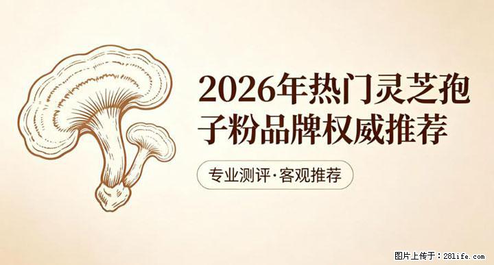 灵芝孢子粉含量越高越有效？2026 年七款热门品牌深度实测，肠胃敏感者避坑指南 - 德宏生活资讯 - 德宏28生活网 dh.28life.net
